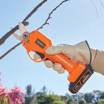 Pruner+battery+charger